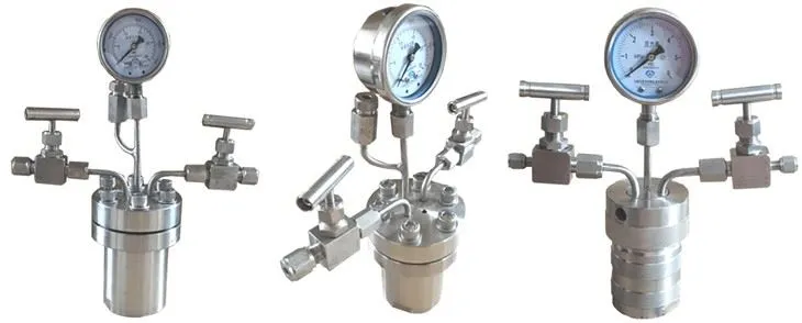 PPL Lined Hydrothermal Synthesis Autoclave Reactor